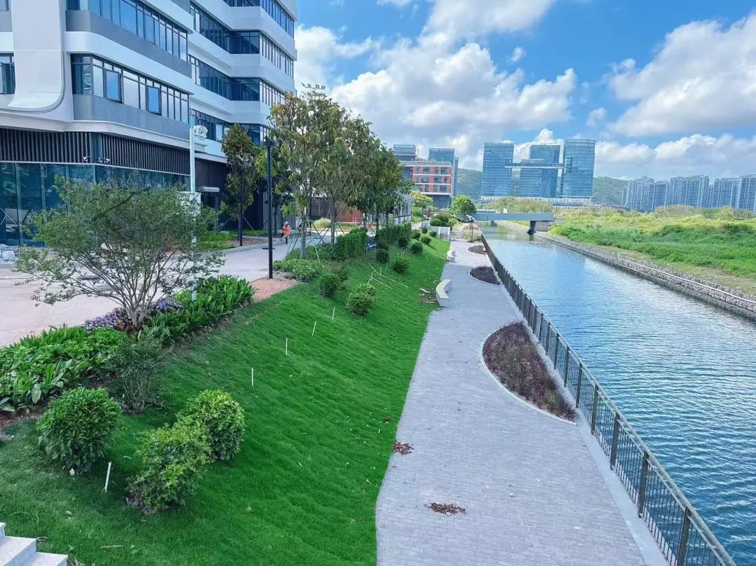 1757575322671012.jpg 4.jpg