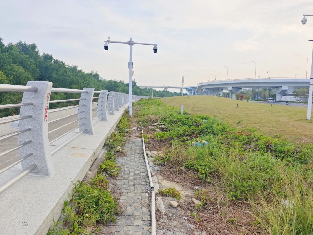 1757575586614643.jpg 13.jpg